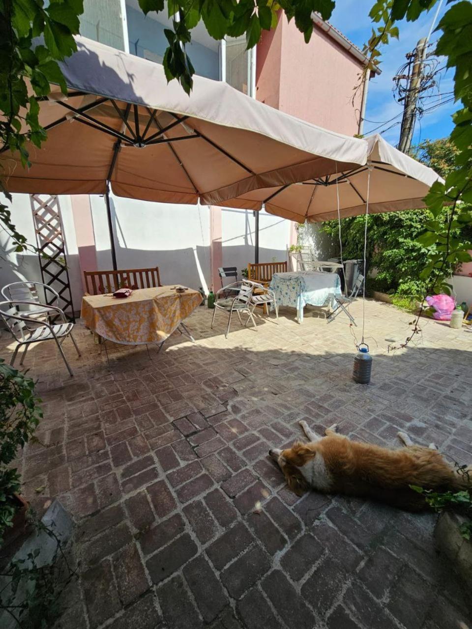Vila Flavia B&B Констанца Экстерьер фото